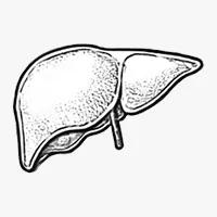 Cáncer de hígado