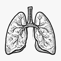 Cáncer de pulmón