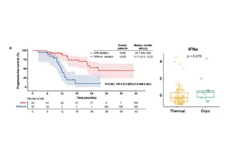 Ablación más terapia continua anti-PD-1/PD-L1 en CPCNP avanzado con enfermedad oligorresidual: el ensayo aleatorizado de fase II BOOSTER